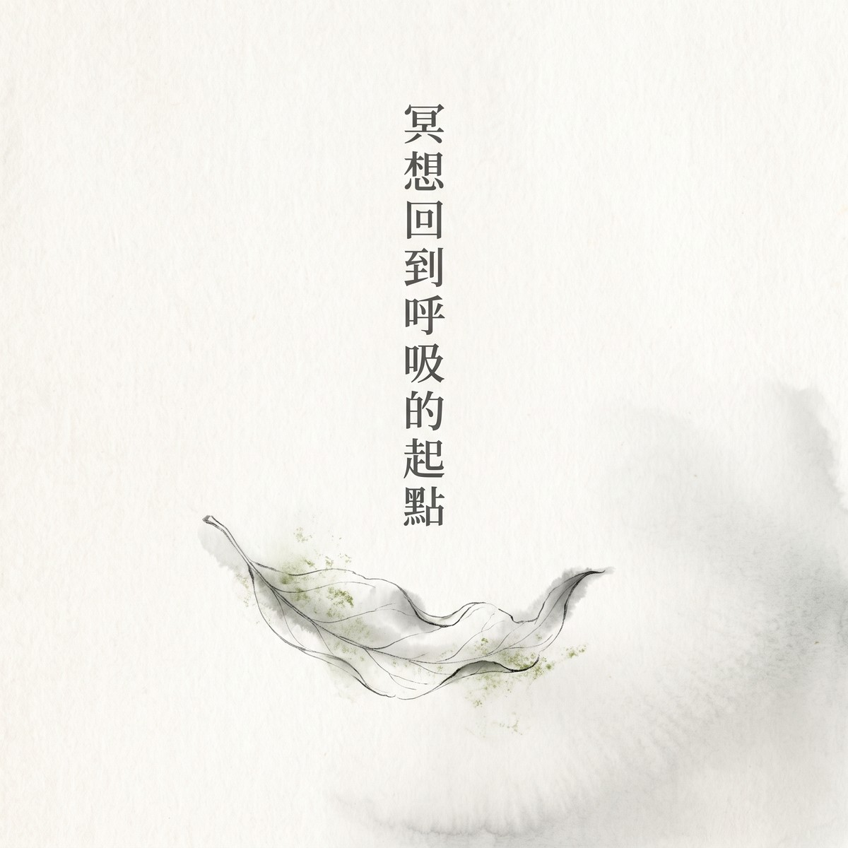 冥想回到呼吸的起點 專輯封面