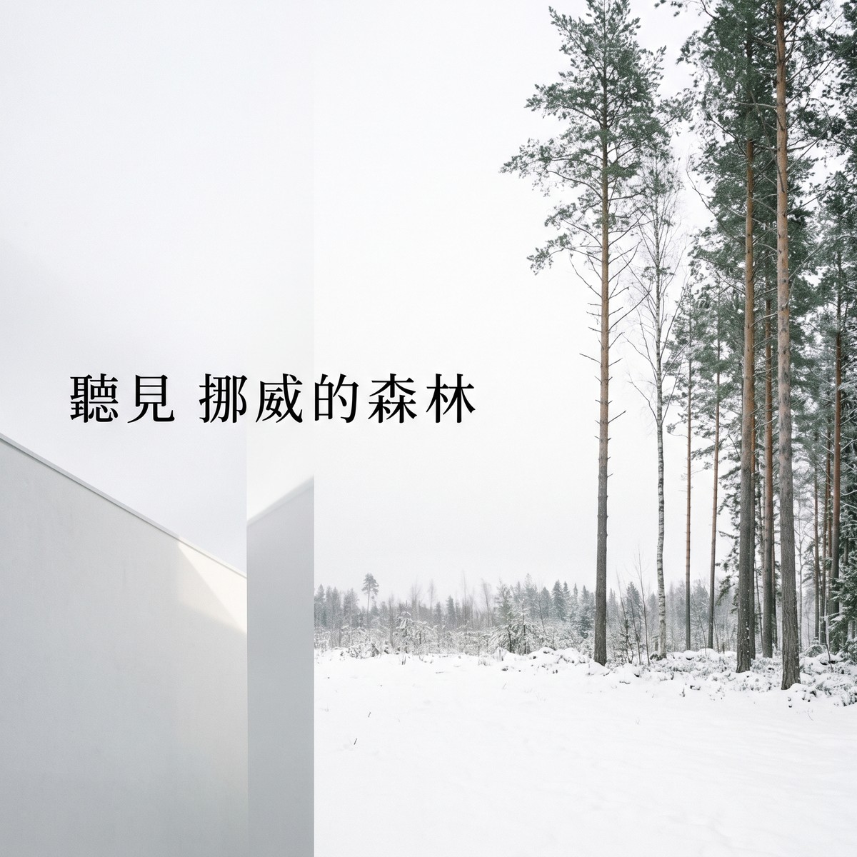 聽見挪威的森林 專輯封面